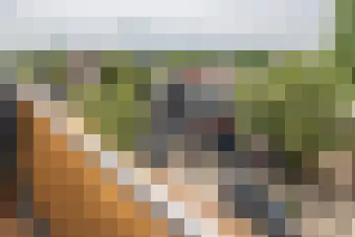Steynlaan 42 A Zeist thumbnail 16