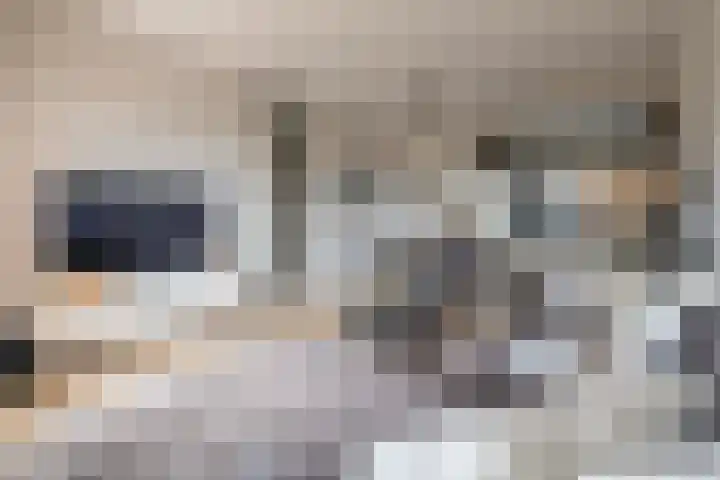 Steynlaan 42 A Zeist thumbnail 5