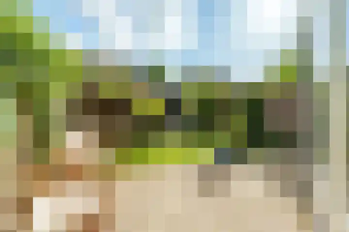 Steynlaan 70 Zeist thumbnail 18