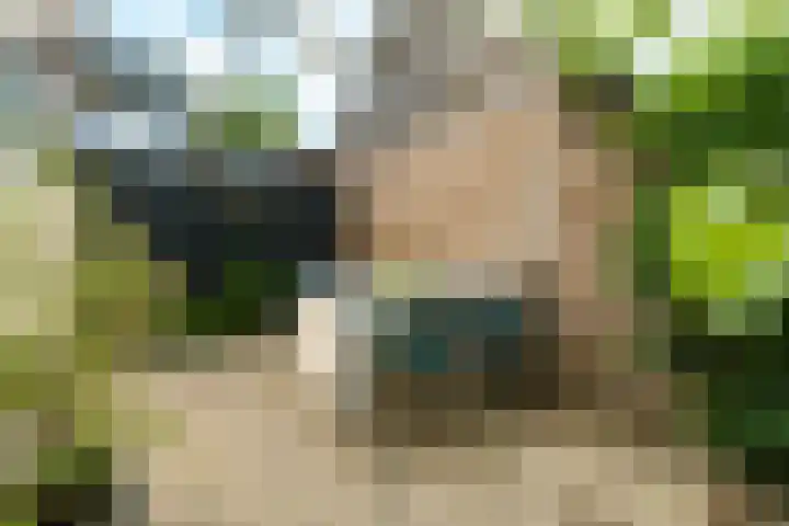 Steynlaan 70 Zeist thumbnail 21
