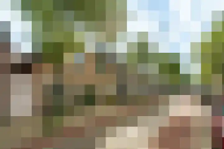 Steynlaan 70 Zeist thumbnail 24