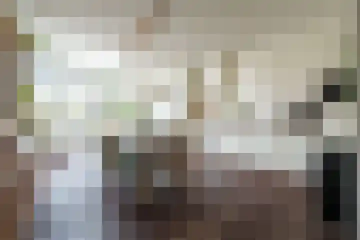 Steynlaan 70 Zeist thumbnail 7