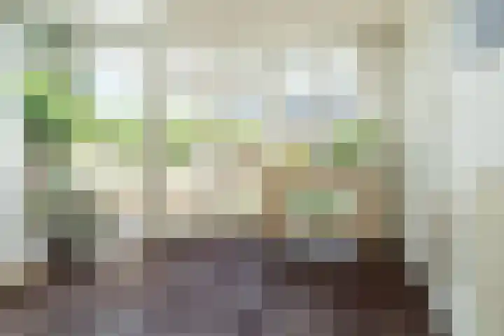 Steynlaan 70 Zeist thumbnail 9