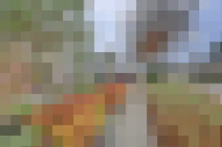 Steynlaan 88 Ermelo thumbnail 38