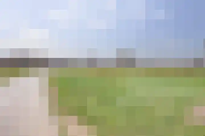 Steynlaan 88 Ermelo thumbnail 40