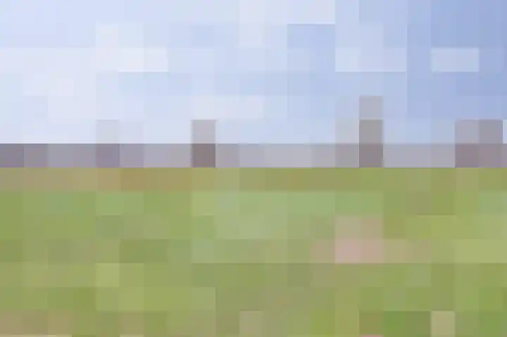 Steynlaan 88 Ermelo thumbnail 41