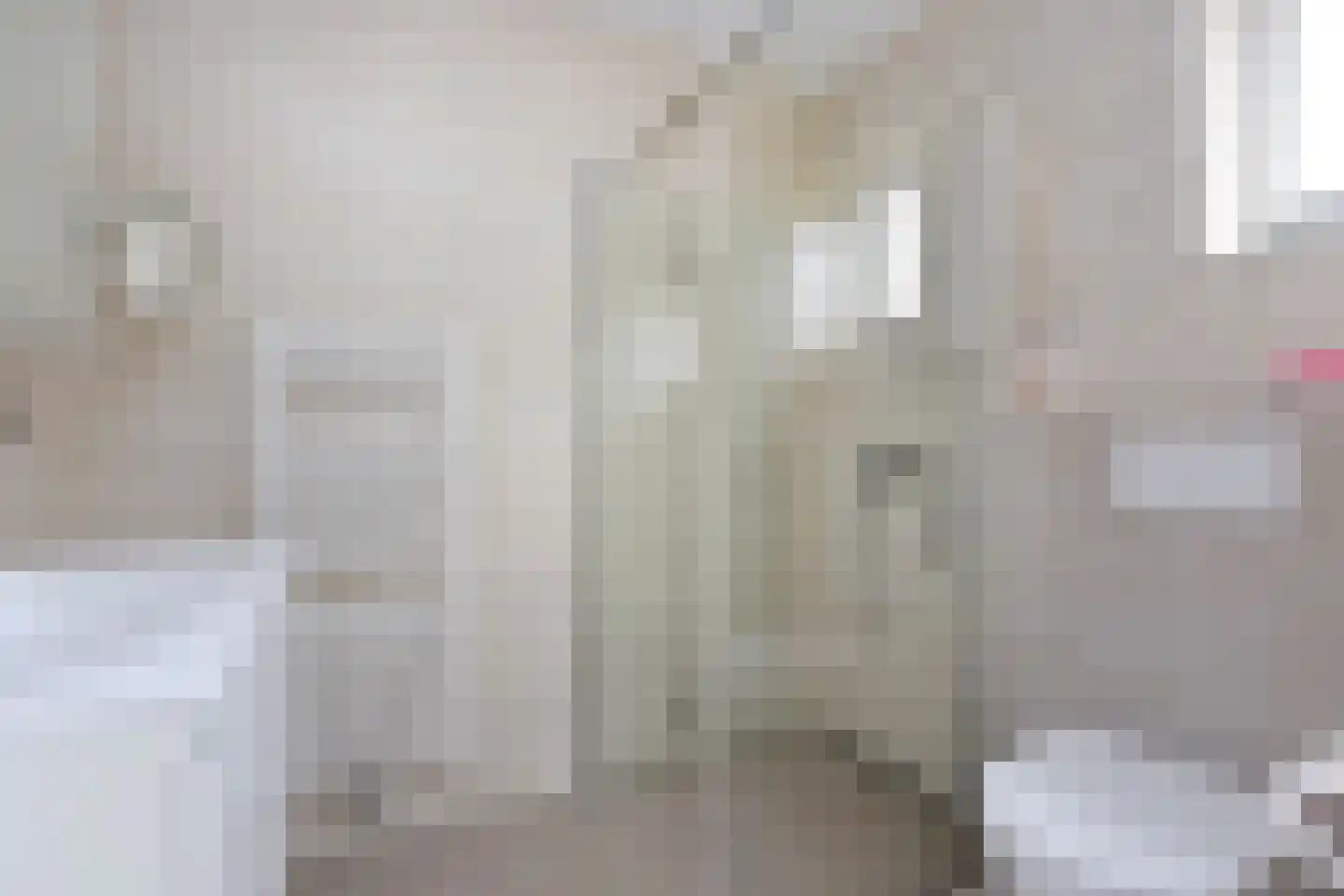 Stibbe 12 Nieuwkoop thumbnail 10