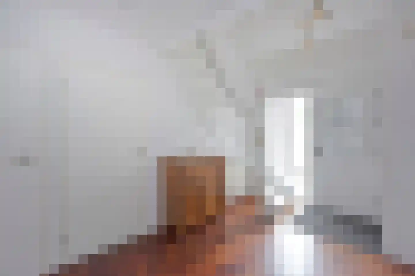 Stibbe 12 Nieuwkoop thumbnail 12