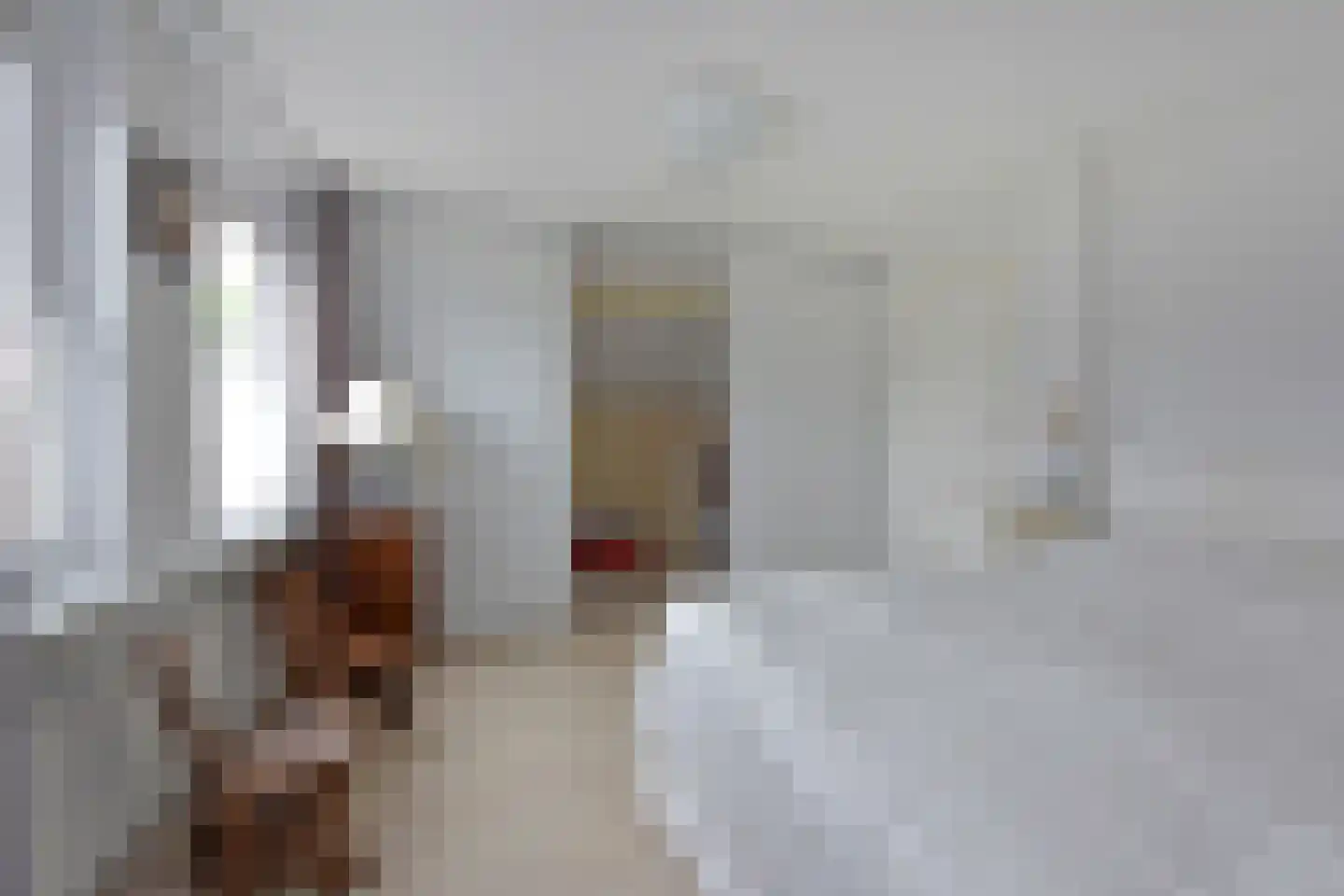 Stibbe 12 Nieuwkoop thumbnail 13