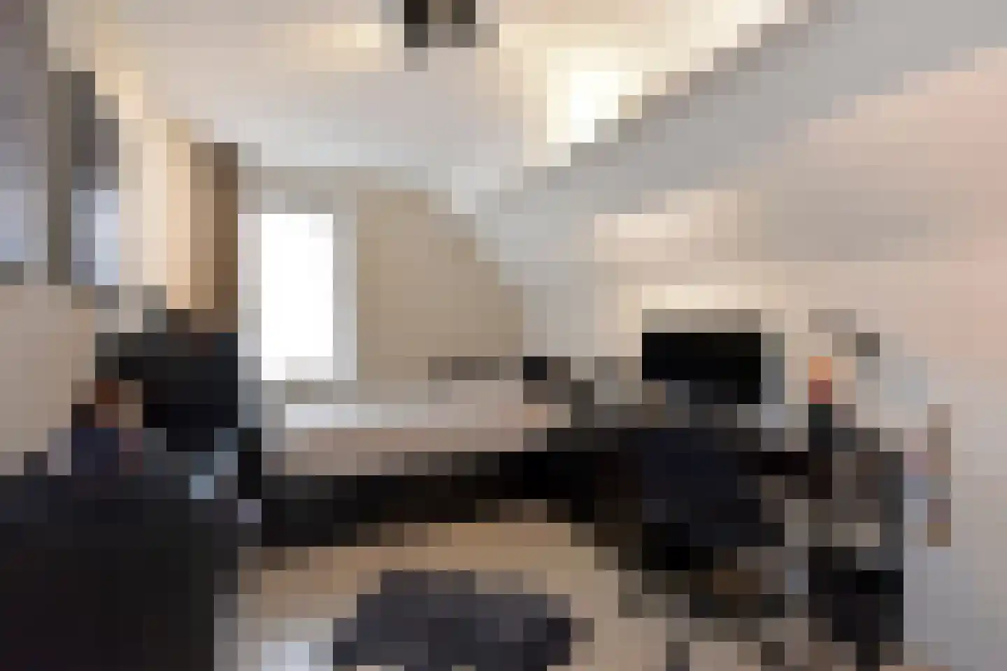 Stibbe 12 Nieuwkoop thumbnail 16
