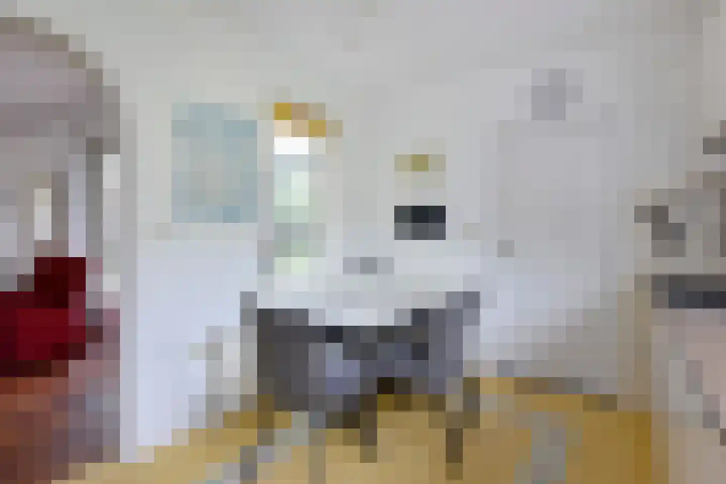 Stibbe 12 Nieuwkoop thumbnail 6