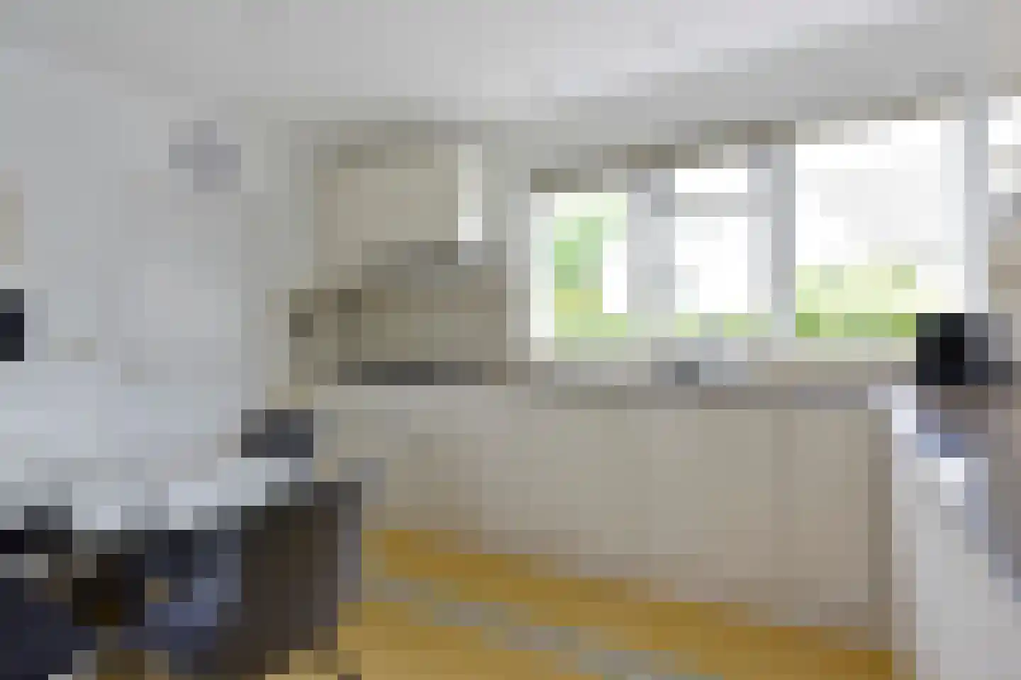 Stibbe 12 Nieuwkoop thumbnail 7