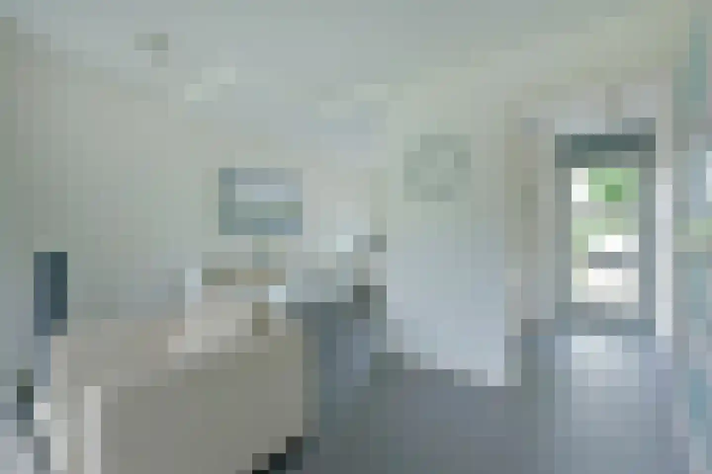 Stibbe 13 Nieuwkoop thumbnail 10