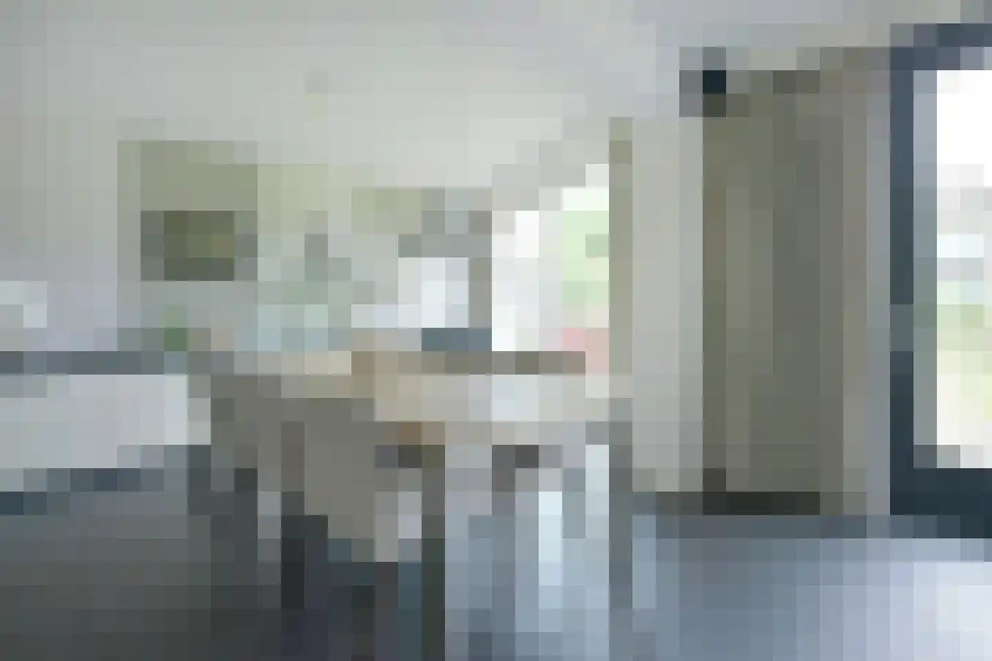 Stibbe 13 Nieuwkoop thumbnail 12