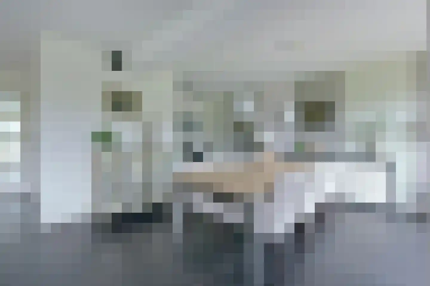 Stibbe 13 Nieuwkoop thumbnail 13