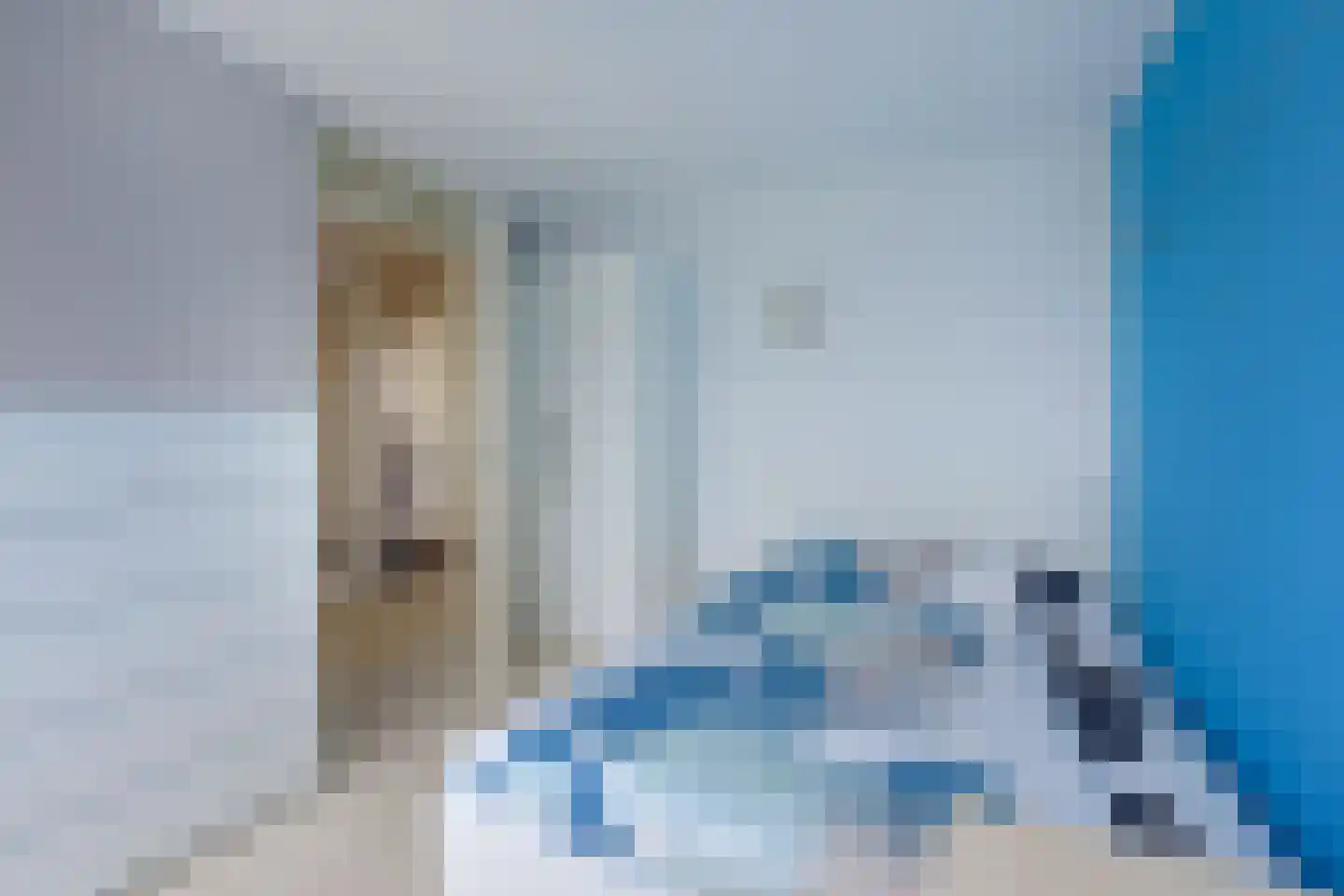 Stibbe 13 Nieuwkoop thumbnail 23