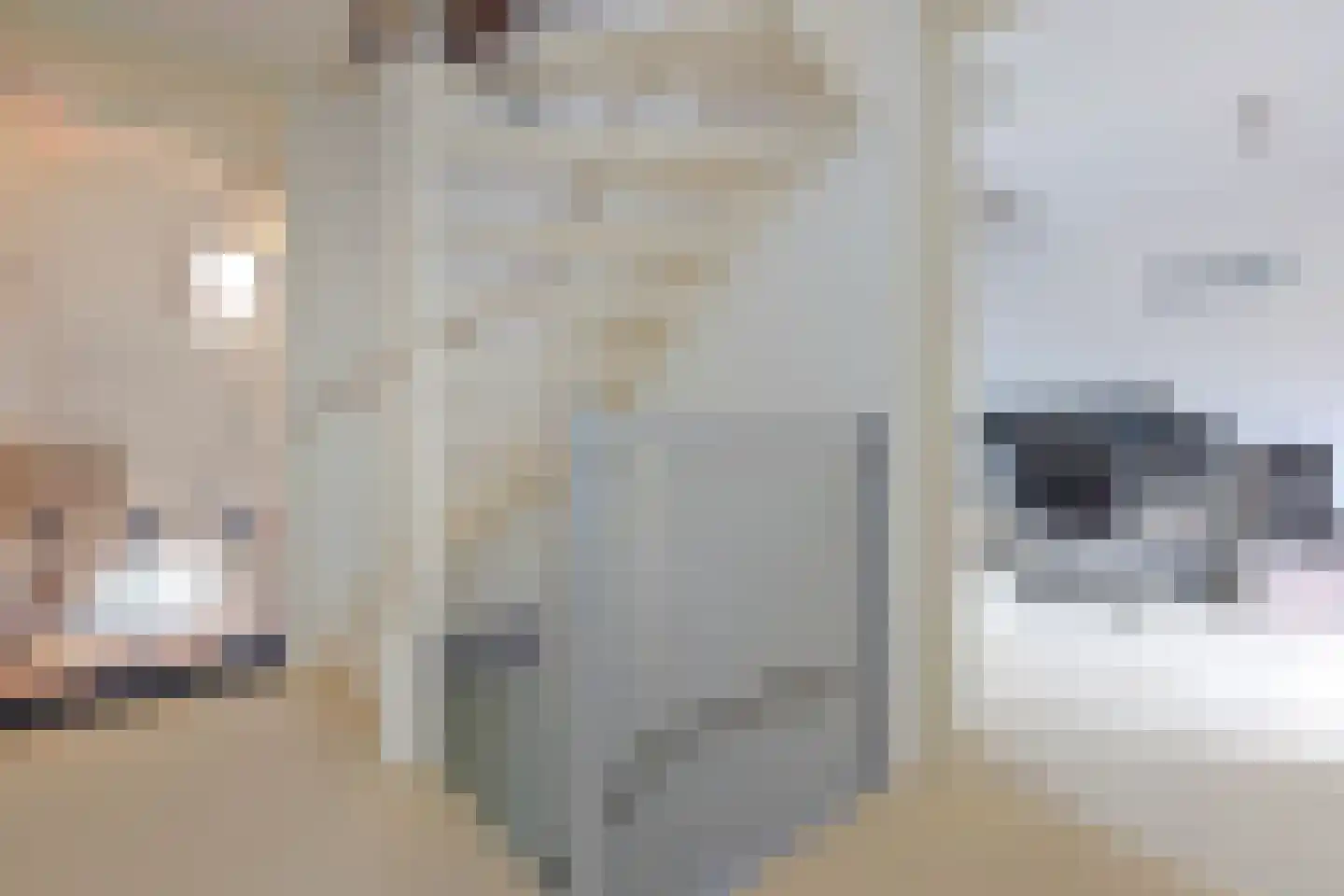 Stibbe 13 Nieuwkoop thumbnail 29