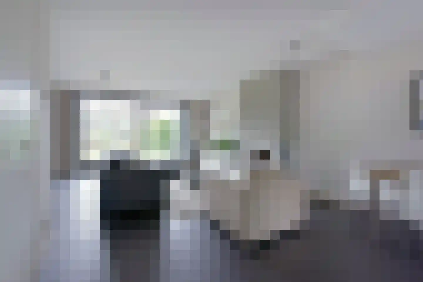 Stibbe 13 Nieuwkoop thumbnail 7