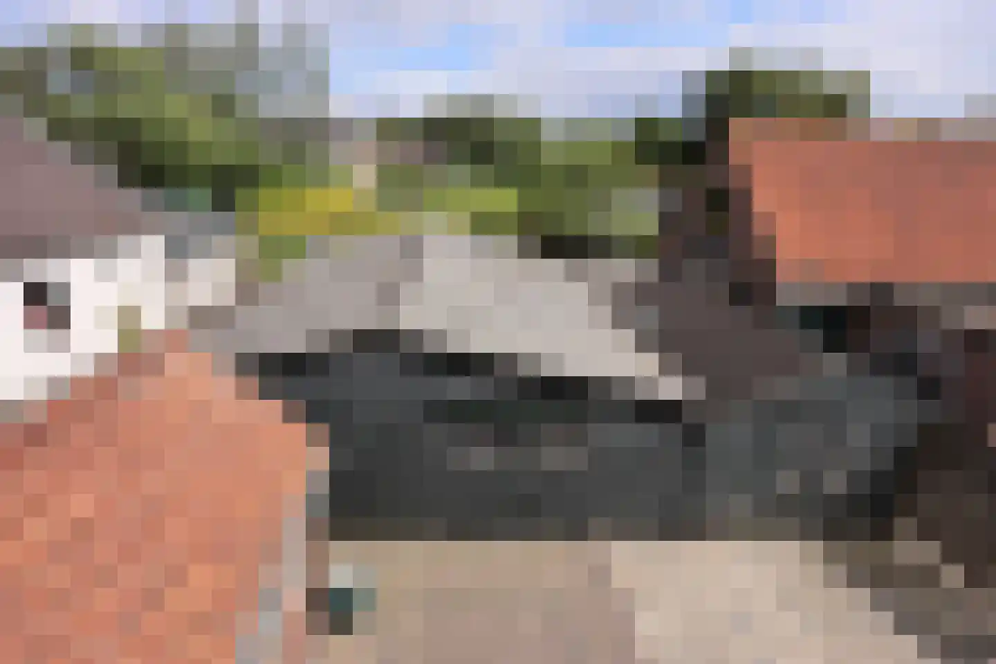 Stichts End 43 Ankeveen thumbnail 24