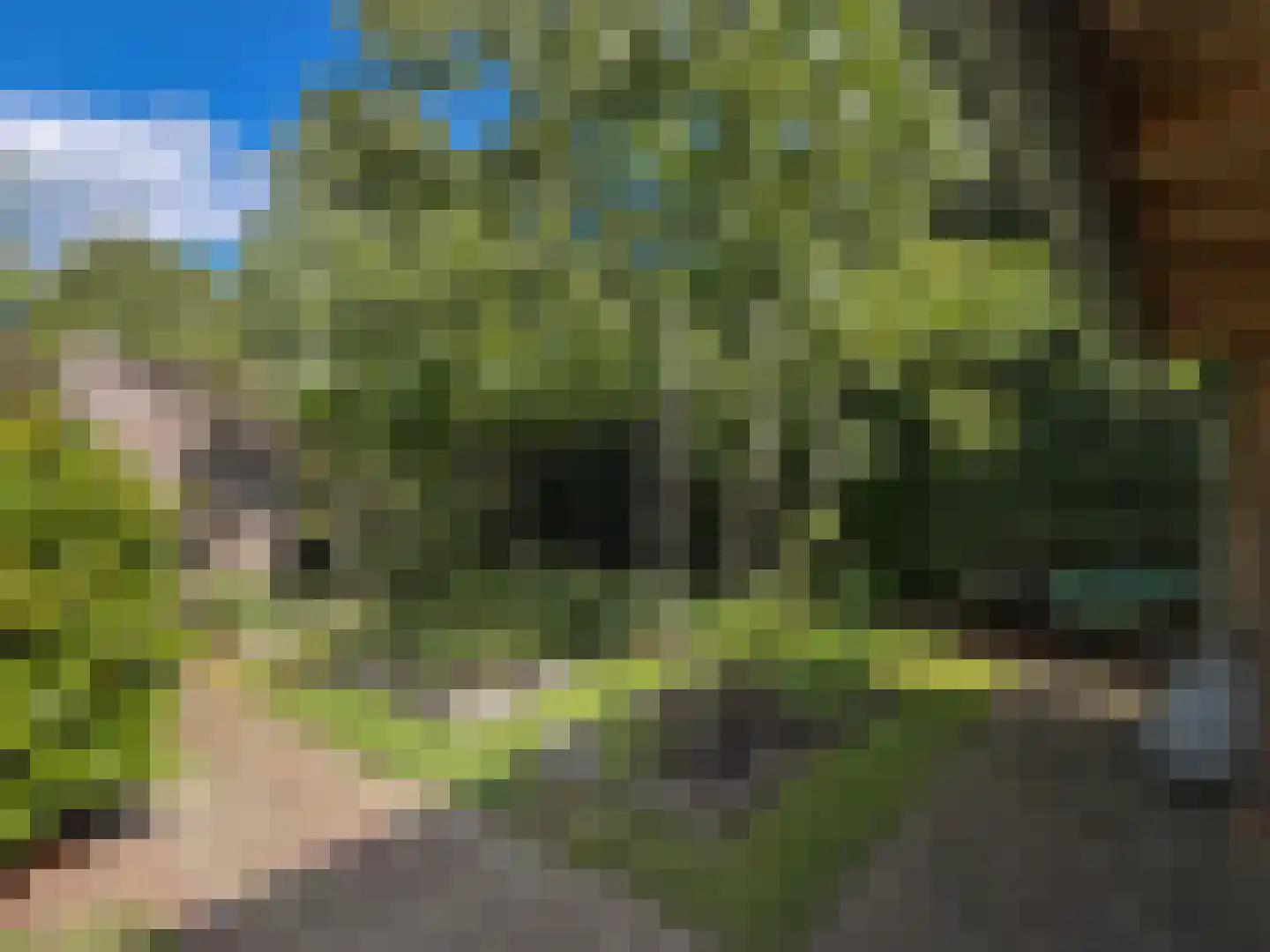 Stichts End 5 Ankeveen thumbnail 17