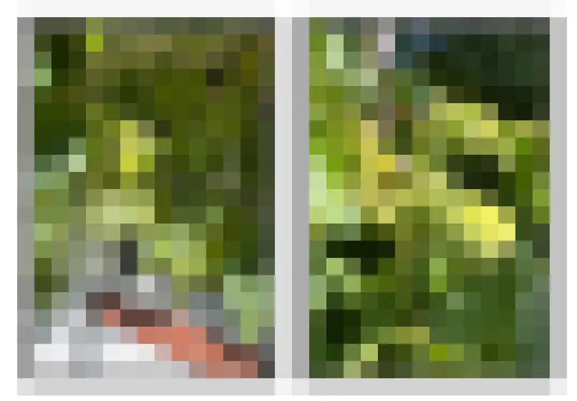 Stichts End 5 Ankeveen thumbnail 22