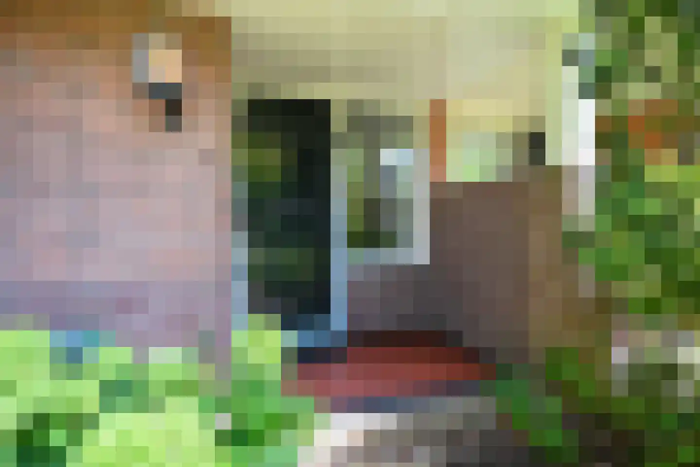 Stichts End 5 Ankeveen thumbnail 26