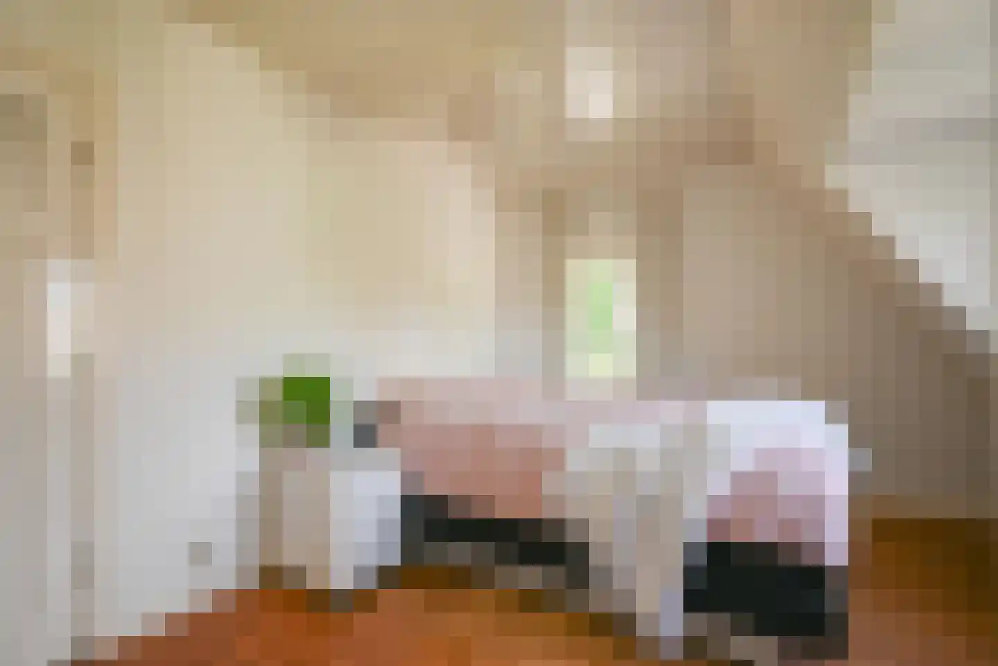 Stichts End 5 Ankeveen thumbnail 38