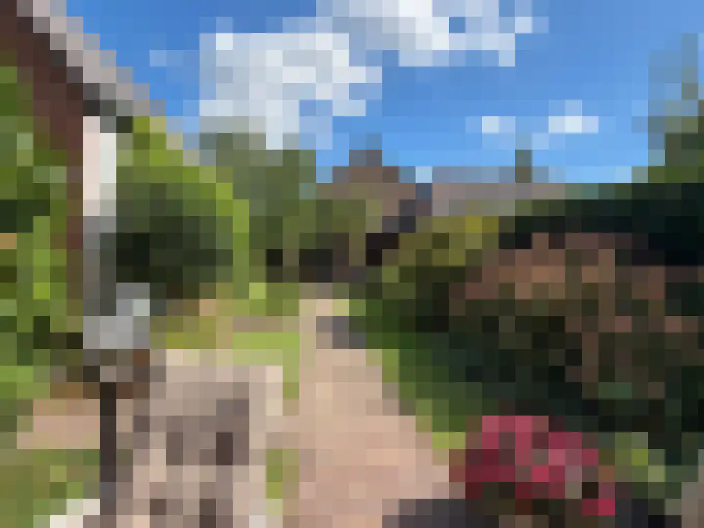 Stichts End 5 Ankeveen thumbnail 51