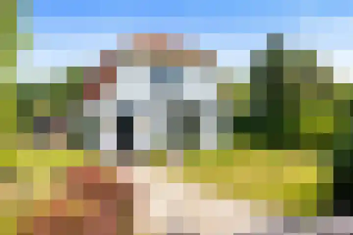 Stichtse Kade 27 Ankeveen thumbnail 13