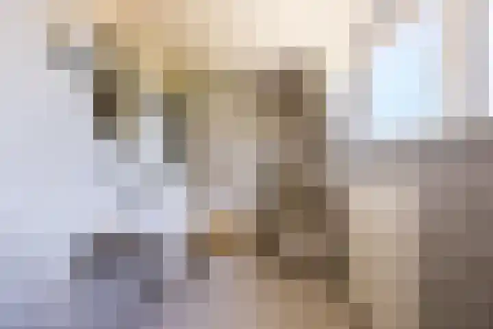 Stichtse Kade 27 Ankeveen thumbnail 39