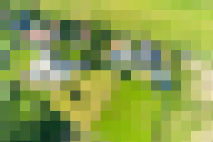 Stichtse Kade 27 Ankeveen thumbnail 4