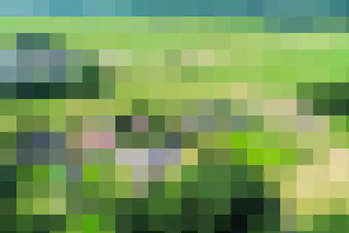Stichtse Kade 27 Ankeveen thumbnail 6