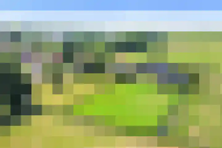 Stichtse Kade 27 Ankeveen thumbnail 8