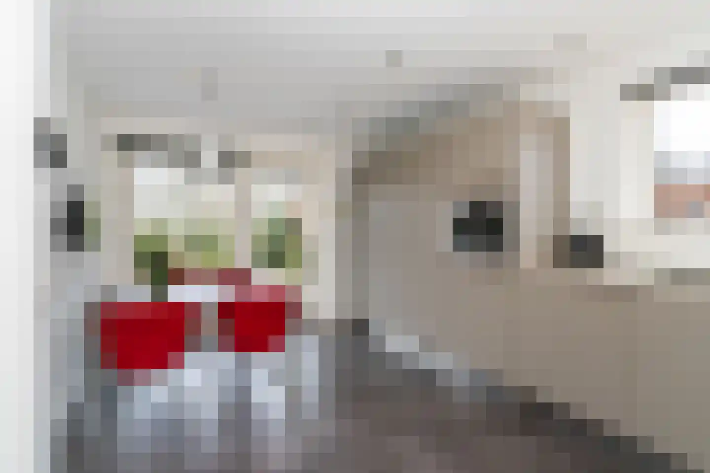 Stichtse Kade 28 a Ankeveen thumbnail 13