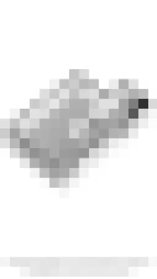 Stichtse Kade 28 a Ankeveen thumbnail 35