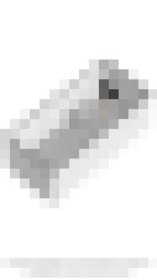 Stichtse Kade 28 a Ankeveen thumbnail 39