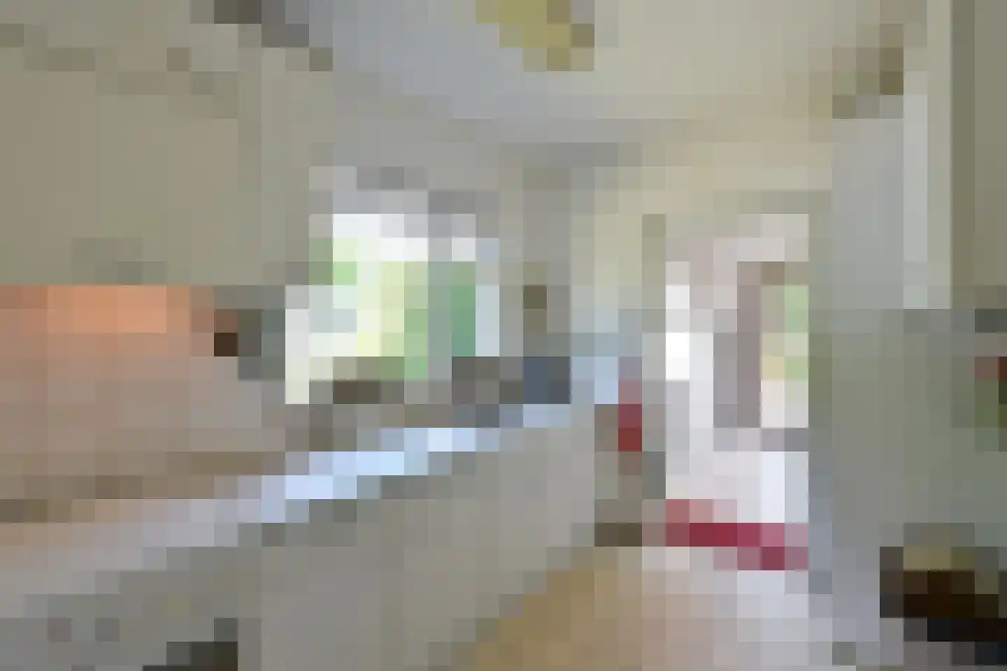 Stichtse Kade 35 Ankeveen thumbnail 10