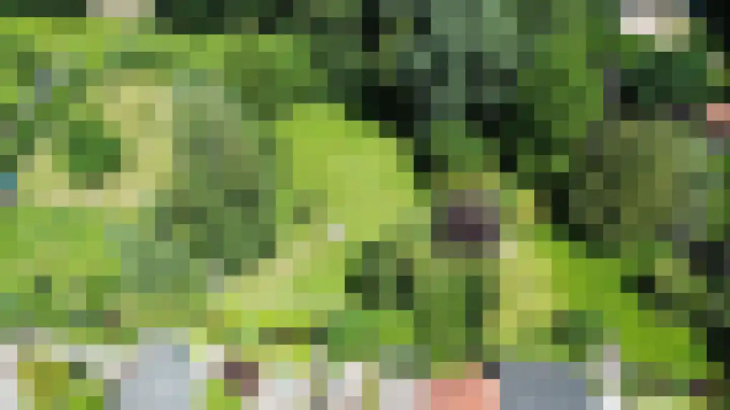 Stichtse Kade 35 Ankeveen thumbnail 26