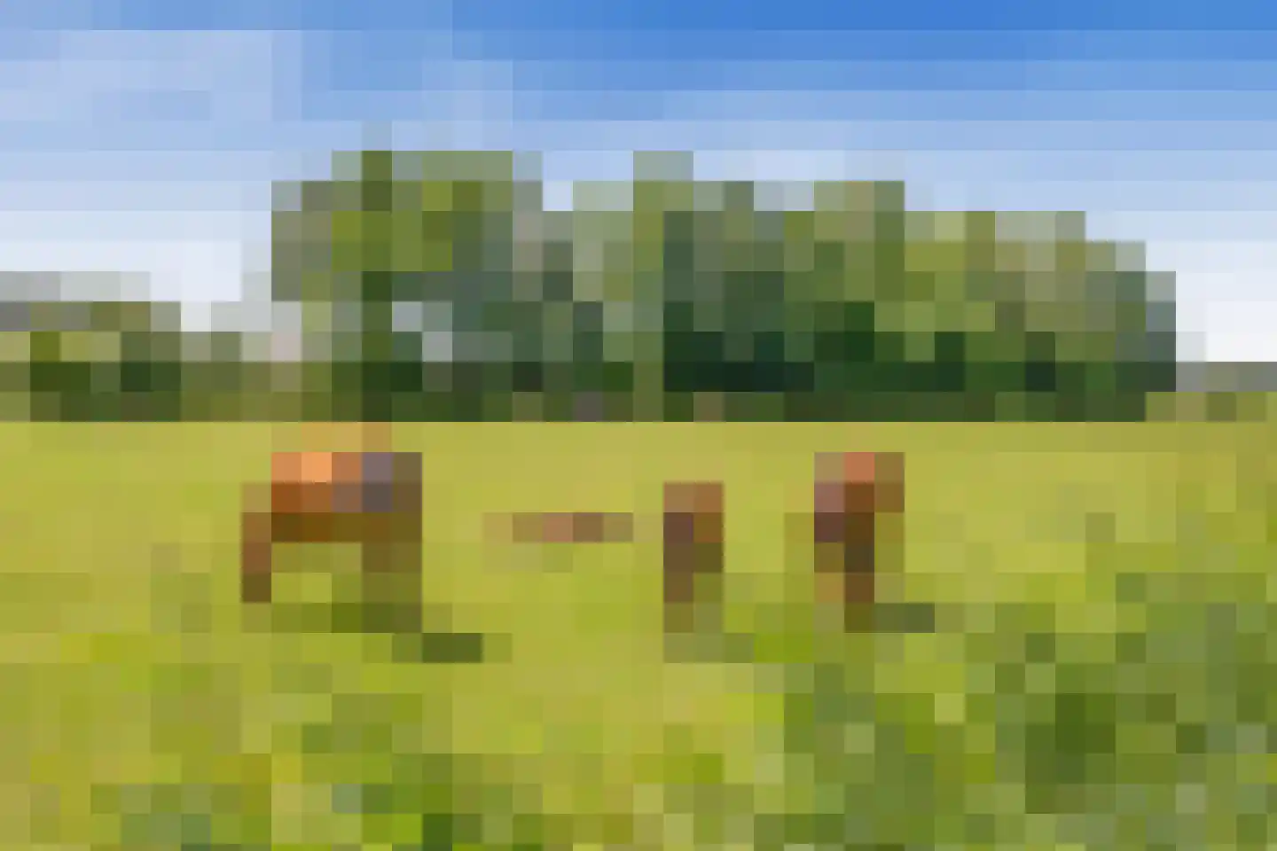 Stichtse Kade 39 Ankeveen thumbnail 100