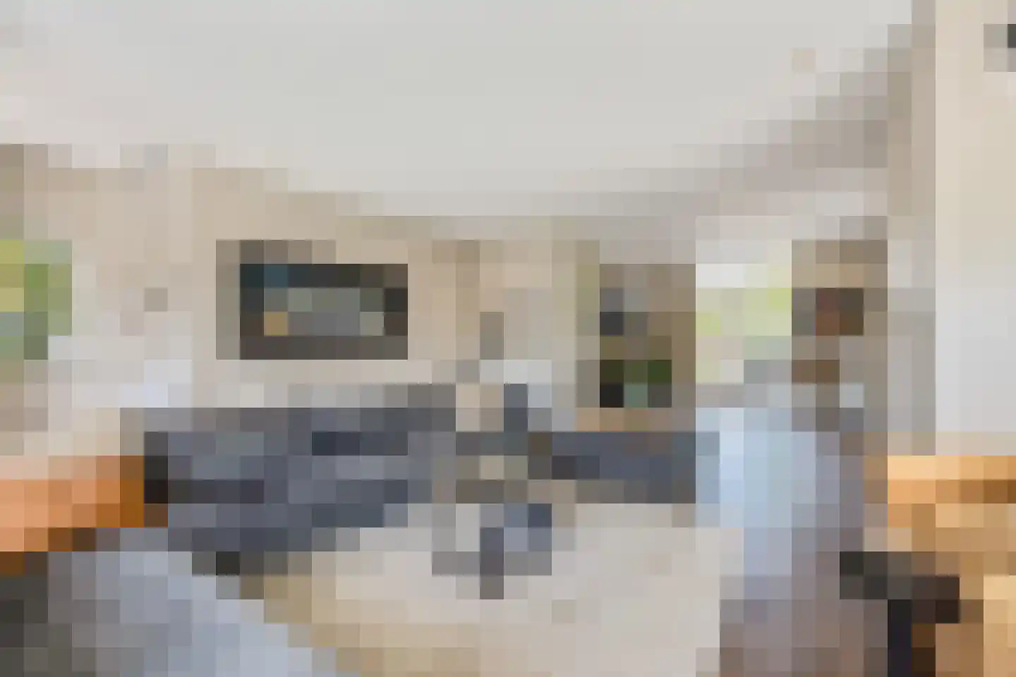 Stichtse Kade 39 Ankeveen thumbnail 18