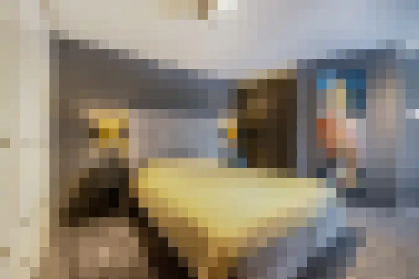 Stichtse Kade 39 Ankeveen thumbnail 33
