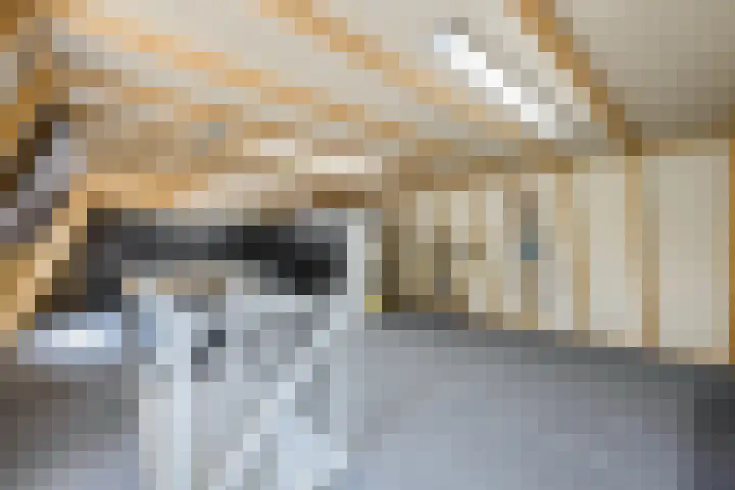 Stichtse Kade 39 Ankeveen thumbnail 49