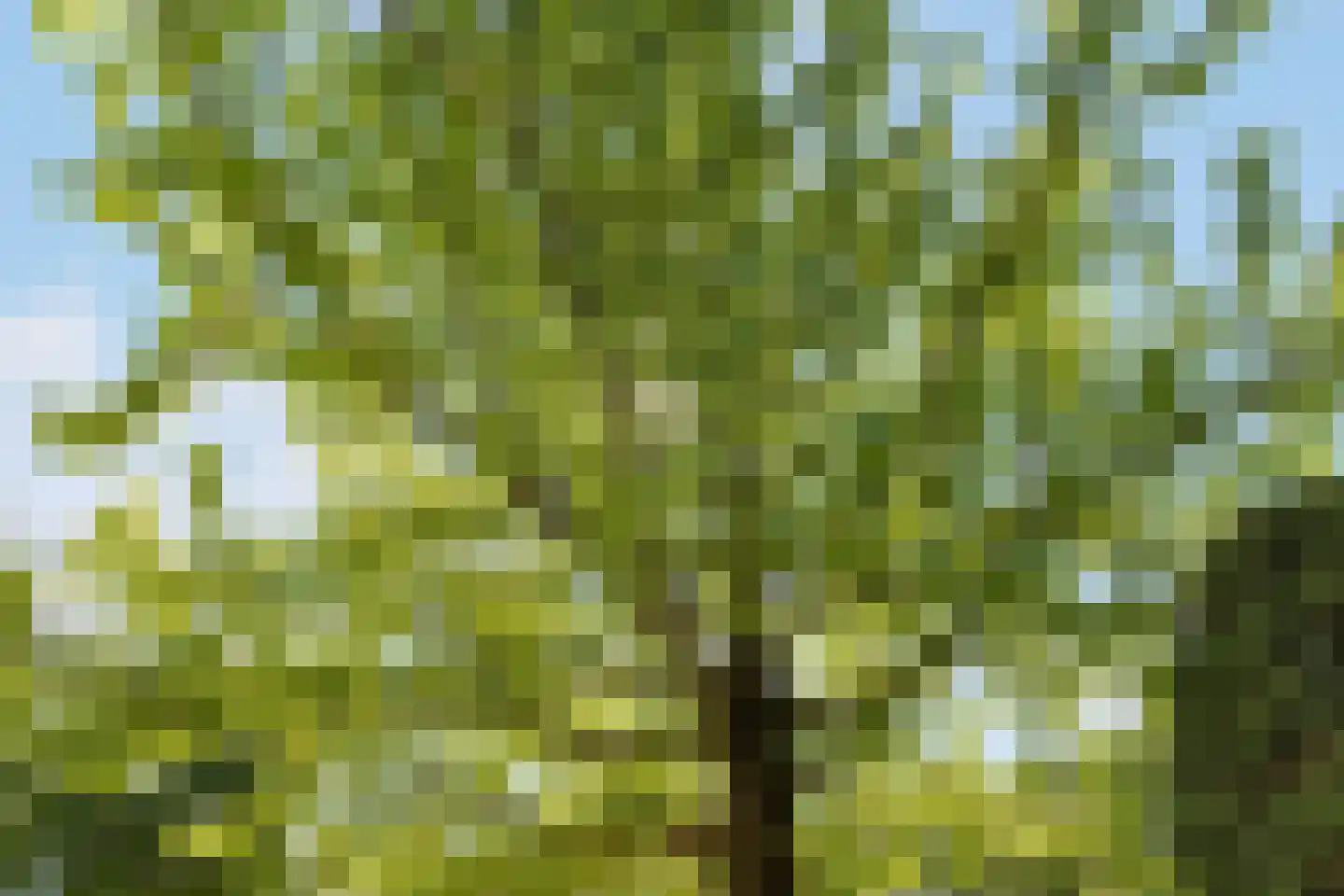 Stichtse Rotonde 25 Amersfoort thumbnail 39