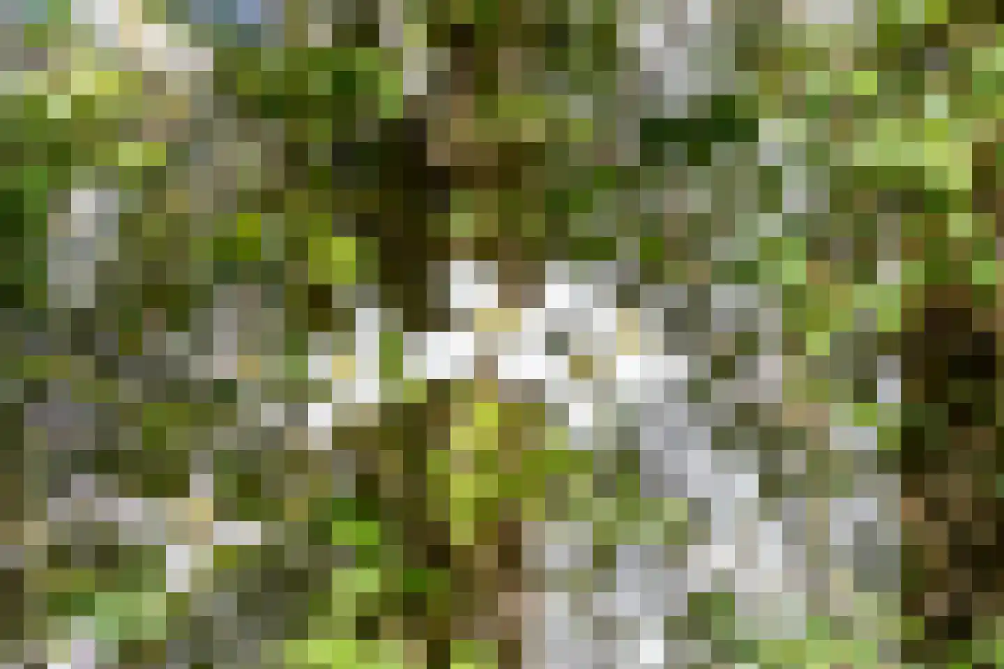 Stichtse Rotonde 25 Amersfoort thumbnail 40