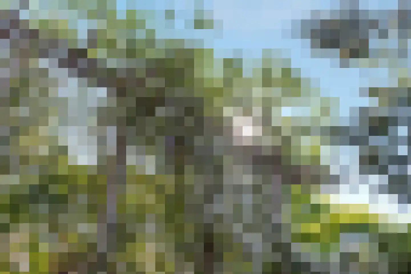 Stichtse Rotonde 25 Amersfoort thumbnail 41