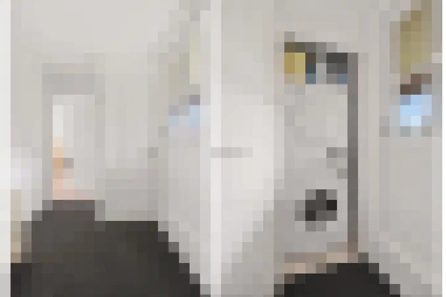 Stichtse Rotonde 5 C Amersfoort thumbnail 33