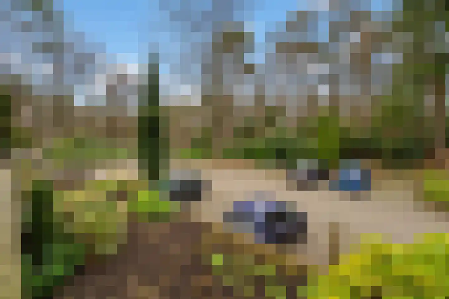 Stichtse Rotonde 5 C Amersfoort thumbnail 57