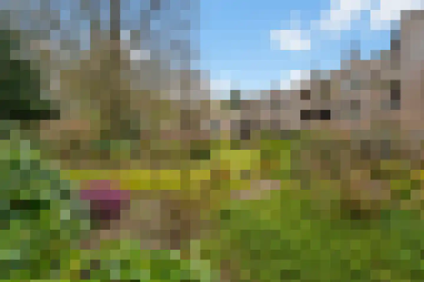 Stichtse Rotonde 5 C Amersfoort thumbnail 64