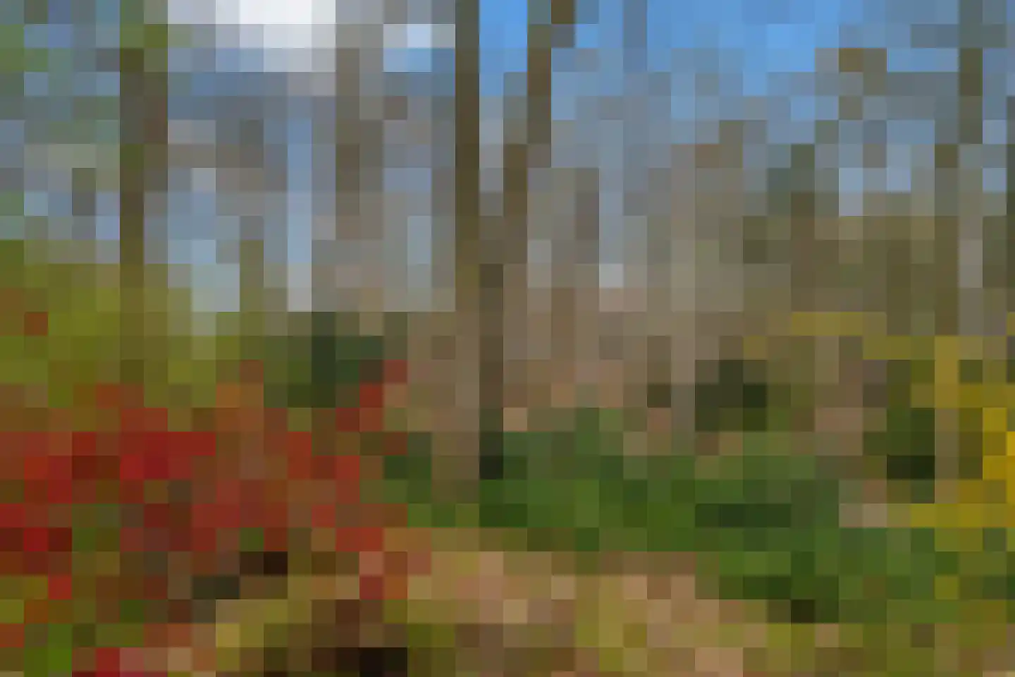 Stichtse Rotonde 5 C Amersfoort thumbnail 70
