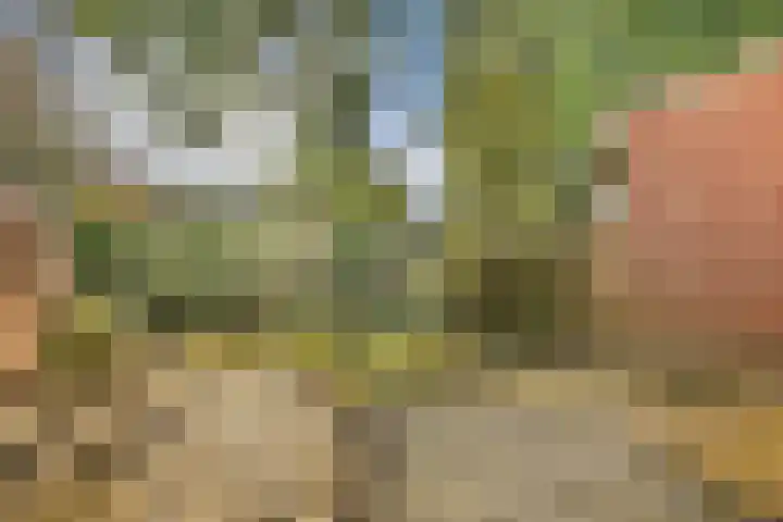 Stichtstraat 16 Loenersloot thumbnail 10